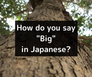 How do you say “Big” in Japanese「大きい」ōkī