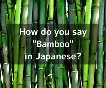 How do you say “Bamboo” in Japanese? 「竹（たけ）」Take | Ichiyo’s Japanese ...