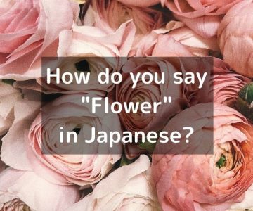 How do you say “Flower” in Japanese? 「花（はな）」Hana