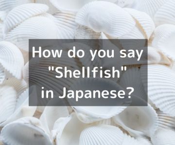 How do you say “Shellfish” in Japanese? 「貝（かい）」Kai