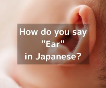 How do you say “Ear” in Japanese? 「耳（みみ）」Mimi