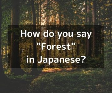 How do you say “Forest” in Japanese? 「森（もり）」Mori/「森林（しんりん）」Shinrin