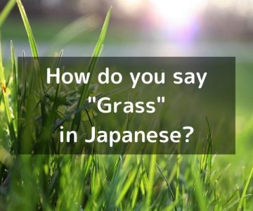 How do you say “Grass” in Japanese? 「草（くさ）」Kusa