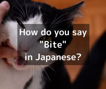 How do you say “Bite” in Japanese?「噛む(かむ)」Kamu